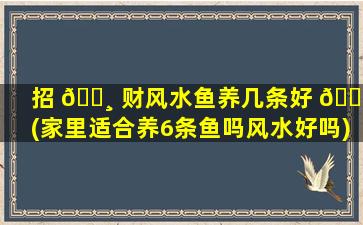 招 🕸 财风水鱼养几条好 🌹 (家里适合养6条鱼吗风水好吗)